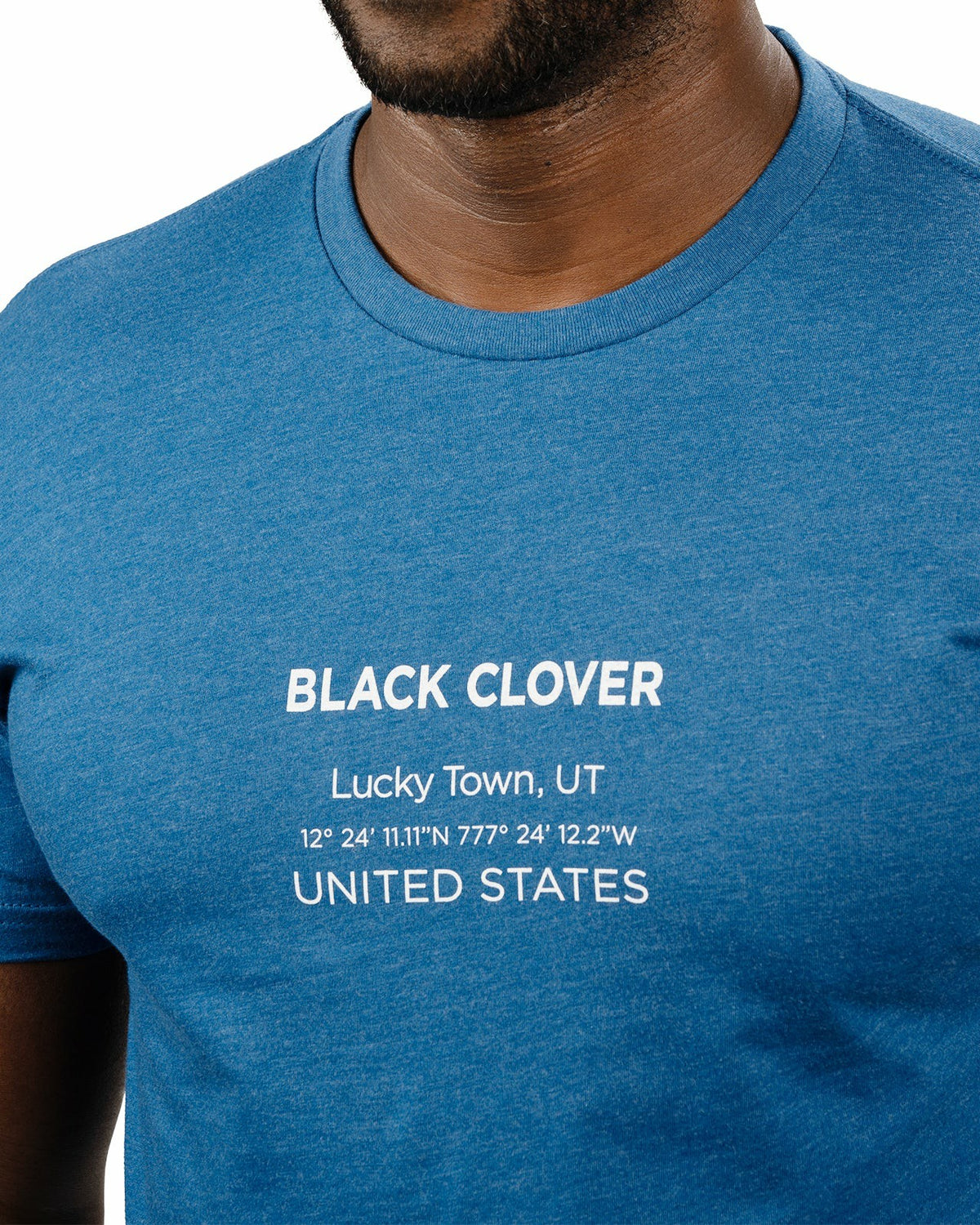 Men's Heather Blue and White Graphic Tee