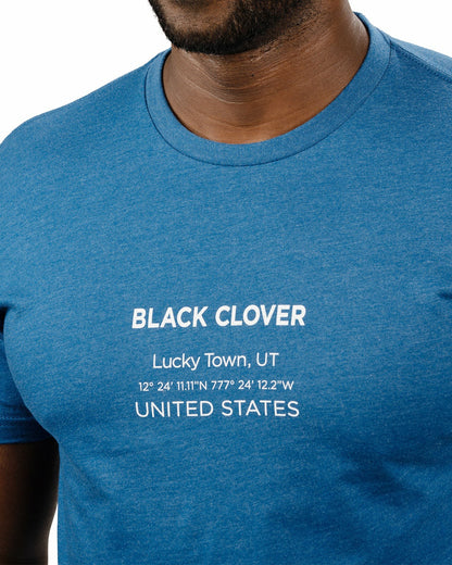 Men's Heather Blue and White Graphic Tee