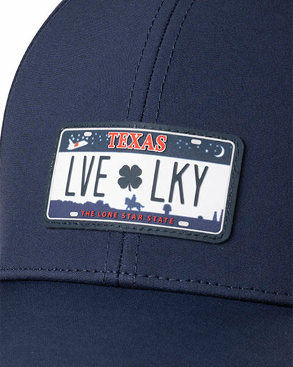 Texas Decal