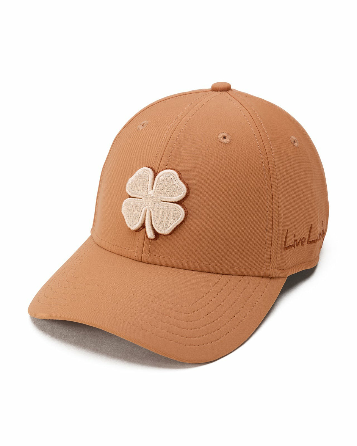 Ginger Root,SNAPBACK